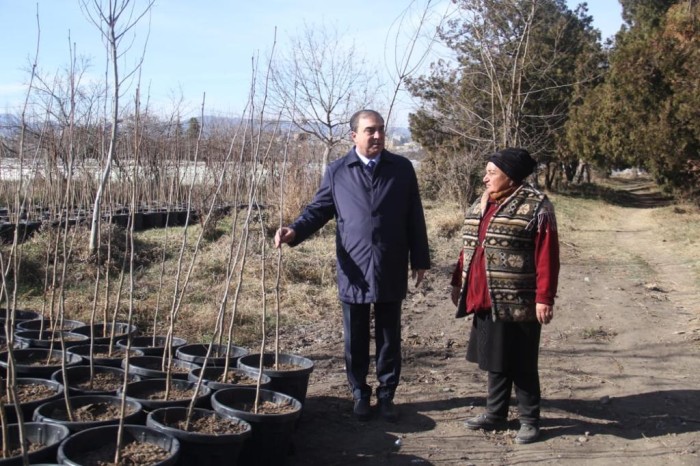 Niyazi Bayramov gülçülük sahəsində olub - FOTOLAR